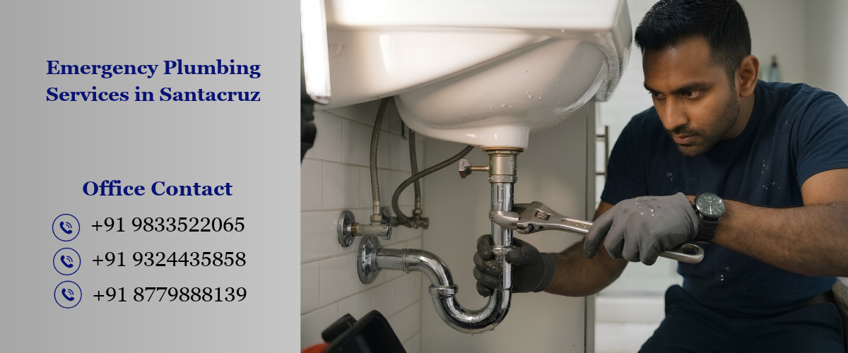 Emergency Plumbing Services in Santacruz