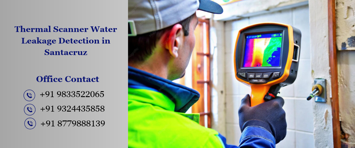 Thermal Scanner Water Leakage Detection in Santacruz
